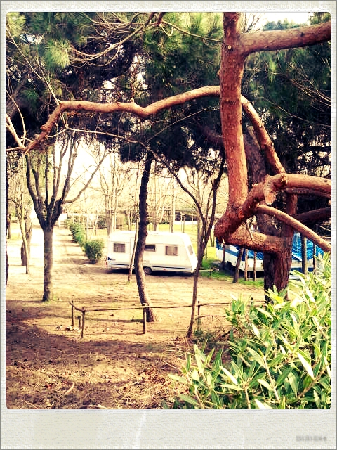 Camping in Capalbio